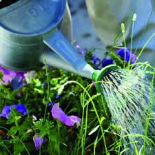 gardening.jpg