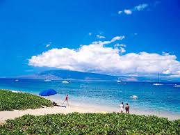 The  Maui   activity companies that we    