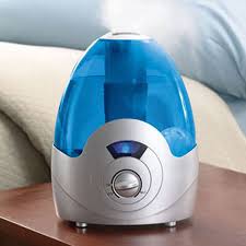 Personal Humidifier