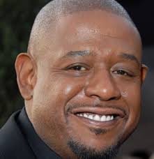 Image <b>Forest</b> Steven <b>Whitaker</b> Picture