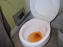 Tags: Urine, Fertilizer - via Daymix