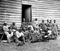   Slaves  