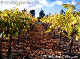 Ch teau Julien Wine  Estate   Carmel
