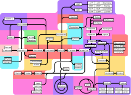 Glucuronate metabolism - via Daymix
