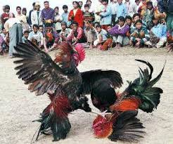 IN CHENNAI