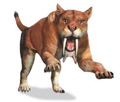 Thylacosmilus