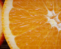 poppy &middot; oranges &middot; orange