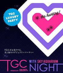 Tgc_night_01-thumb-500x576-13511