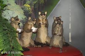 Picture of Funny Pics