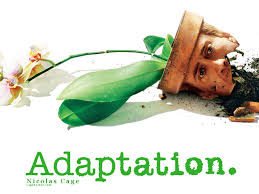 Adaptation