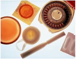 Animal  birth control  &Acirc;&laquo; Oh,