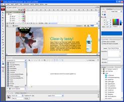 Screen shot of Adobe Flash