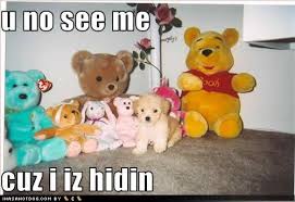 cute pictures of puppies with