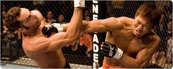 Ultimate Fighting Championship - via Daymix