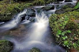 Rainforest Rivers - via Daymix