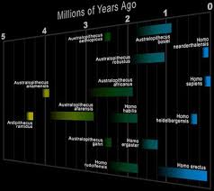 From Apes to Human-beings - via Daymix