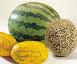 Photo of  Melon  