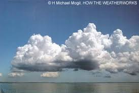 You are the  cumulus cloud   