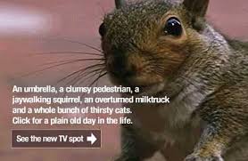 Discovery Channel has just launched