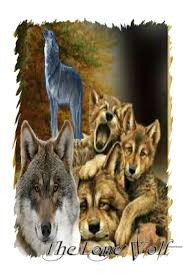 The  Lone   Wolf Card