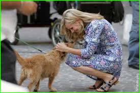 Kristen Bell Image <b>Kristen< b> <b>Bell< b> puppy.jpg Picture 0