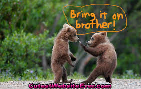 CutestWebsiteEver.com - Cute