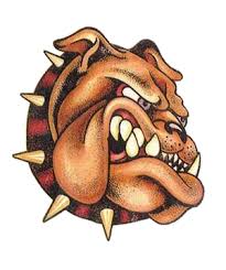 BullDog Firewall - via Daymix