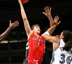 Image Andrea Bargnani Picture