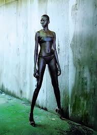 Alek Wek (born April 16, 1977) is a Sudanese supermodel who appeared on the catwalks at the age of 18 in 1995.