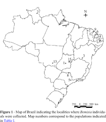       Brazil    B   tabaci biotype BR 