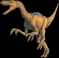 Velociraptor dinosaur facts - via Daymix