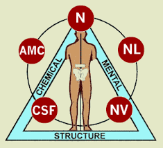  Applied Kinesiology  as