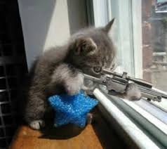 The     Felatio    Murders a k a The Little            