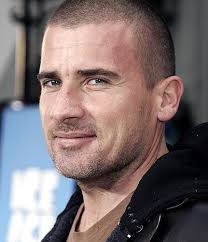 Image <b>Dominic Purcell</b> Picture