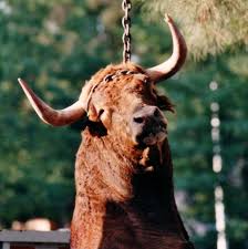 Bullfighting 4