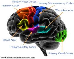 competitive intelligence, - via Daymix