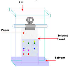 Chromatography Chromatography