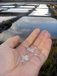 Fleur de Sel de Gu�rande doesnt 