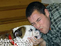 Adam Sandler CD Giveaway - via Daymix