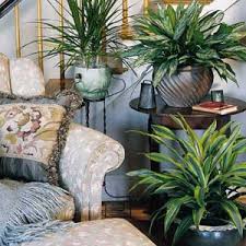 plants to - via Daymix