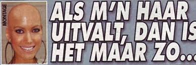 Sylvie van der Vaart,