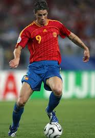Fernando Torres Picture 3