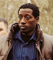 Image Wesley Snipes Picture