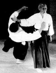 aikido.gif