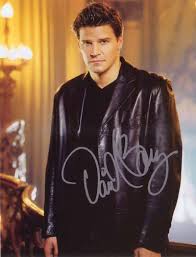 David Boreanaz Picture 4