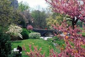 Indiana University: A Virtual - via Daymix