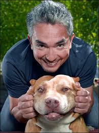 Brings in Dog Whisperer to - via Daymix