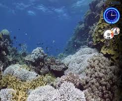 Image The <b>Aqua</b> dream movie is based on the <b>...</b> Picture