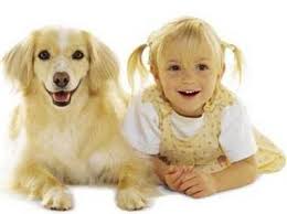 Dog Breed Pictures - via Daymix