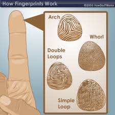 Fingerprint - via Daymix